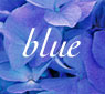 colors_blue.jpg