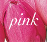 colors_pink.jpg