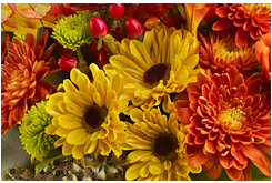 Discover What Flowers are in Season | Teleflora