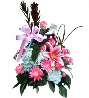 (Vietnam) Colourful Dreams