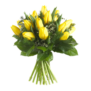 Bouquet of Yellow Tulips