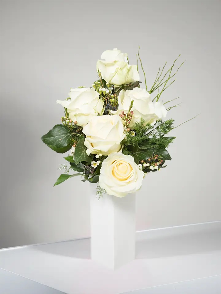 5 white roses