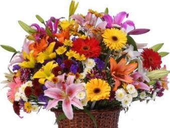 Basket flowers station - ALL OCCASION