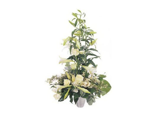Extraordinary arrangement
