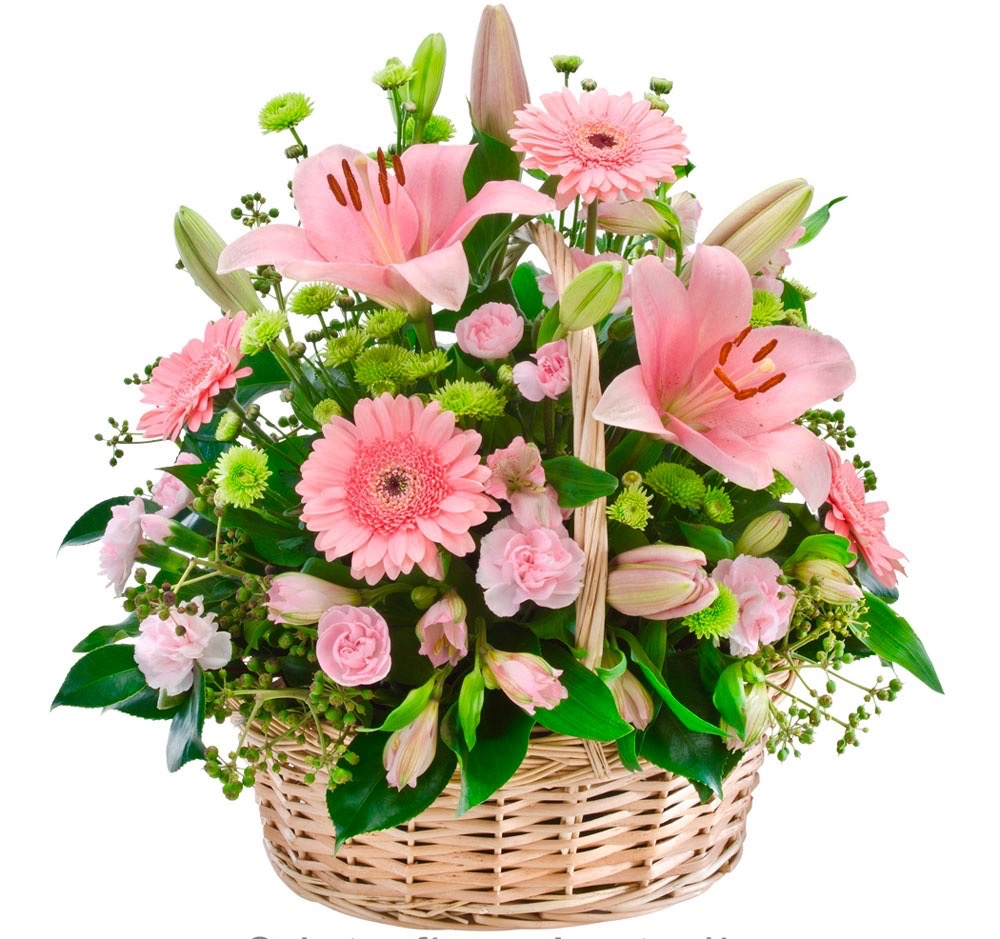 Stationery flower basket - EVERY OCCASION