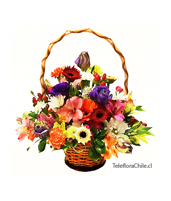 Mixed flowers Basket Arrangement