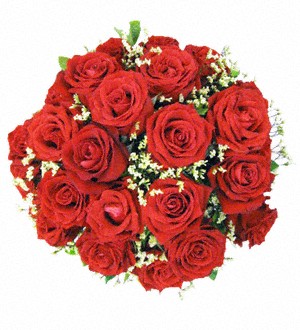 18 Red Roses (Lucky)