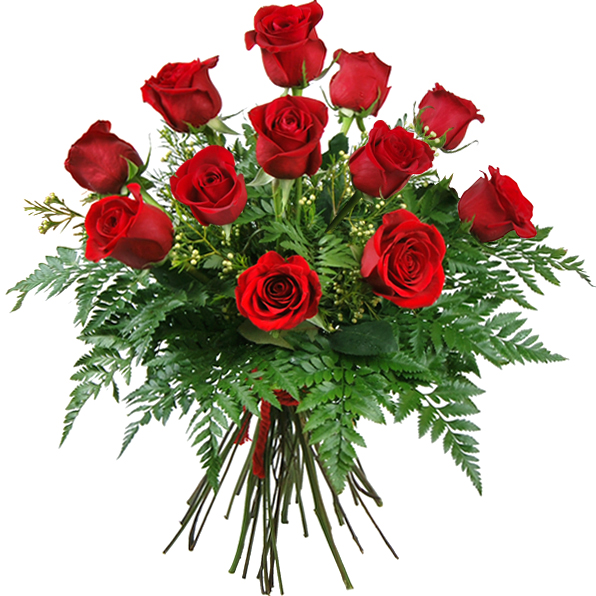 12 ROSES FOR VALENTINE