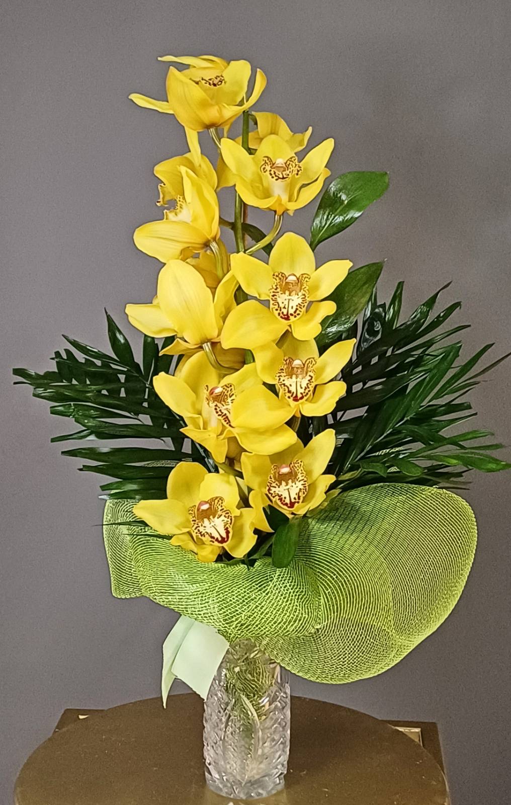 Big cymbidium orchid