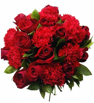 (Vietnam) Classy Crimson
