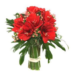 Bouquet of Red Amaryllis and Berries