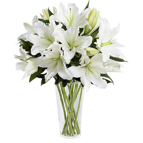 White Lilies