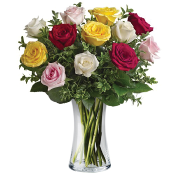 Mixed Dozen Roses