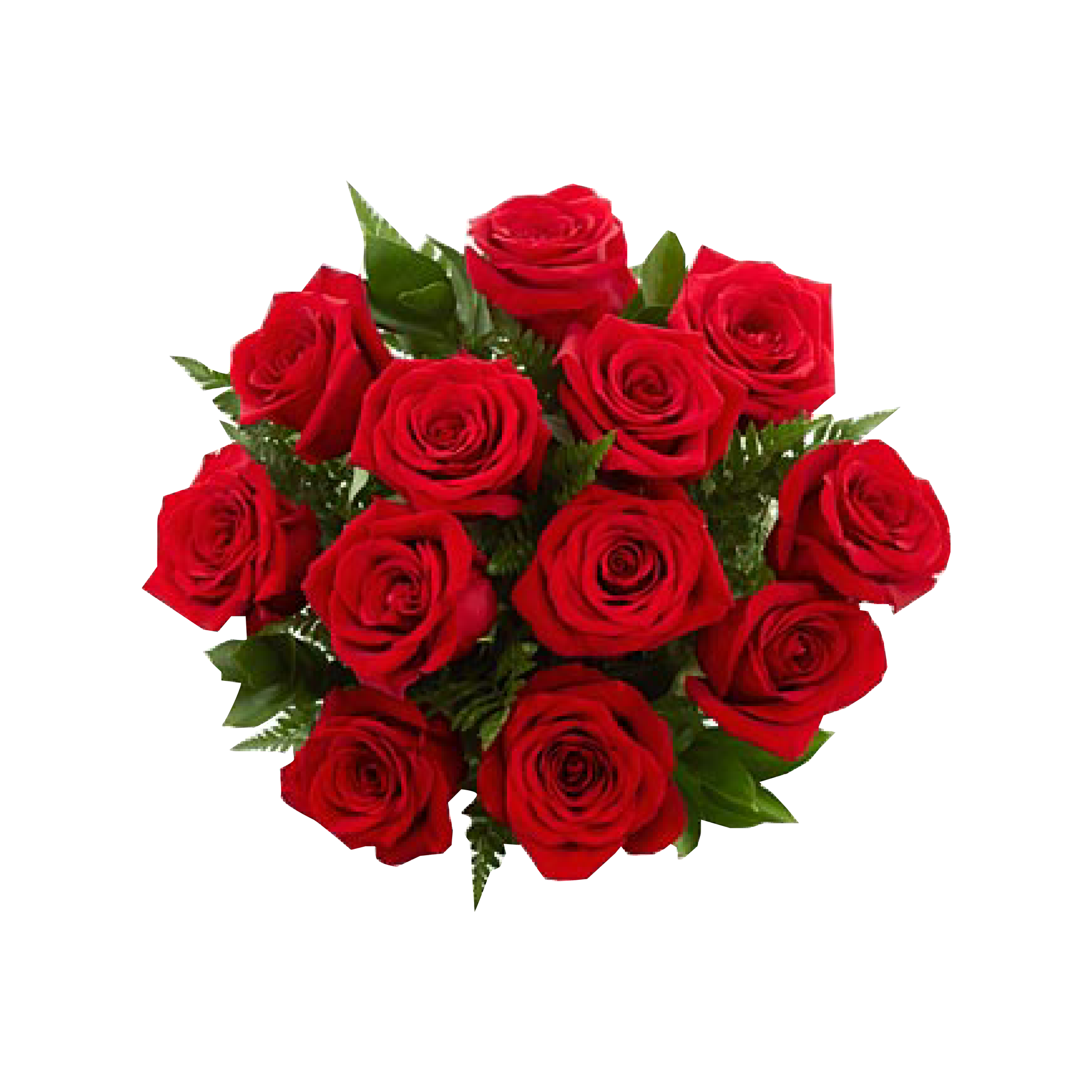 12 ROSES - PASSION