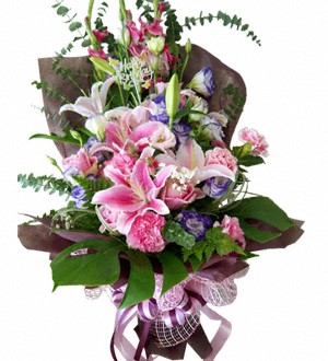 (Vietnam) Carnival of Colours