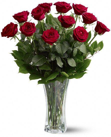 12 Red Roses