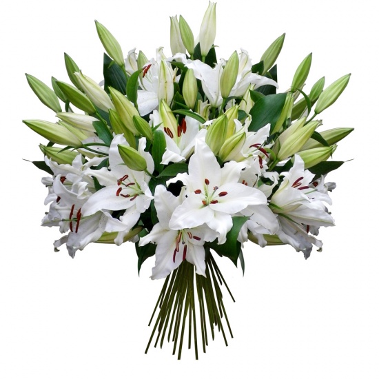 White Lilies Bouquet