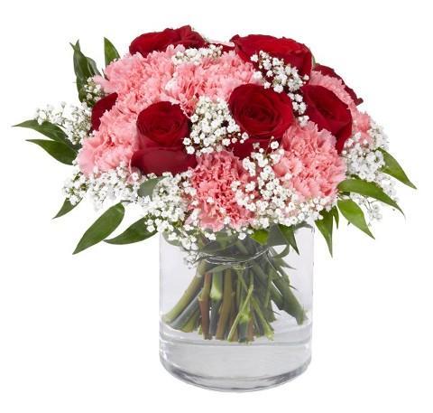 Red Roses and Pink Carnations