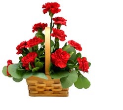 RED ROSES BOUQUET