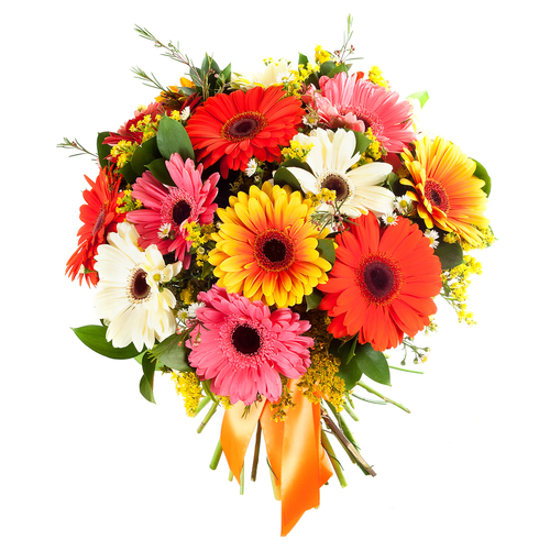 Bouquet of hand - GERBERAS MULTICOLOR