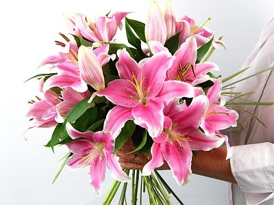 HAND TIED OF PINK LILIES