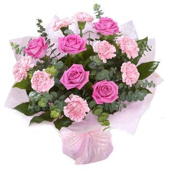 Pink Roses and Carnations