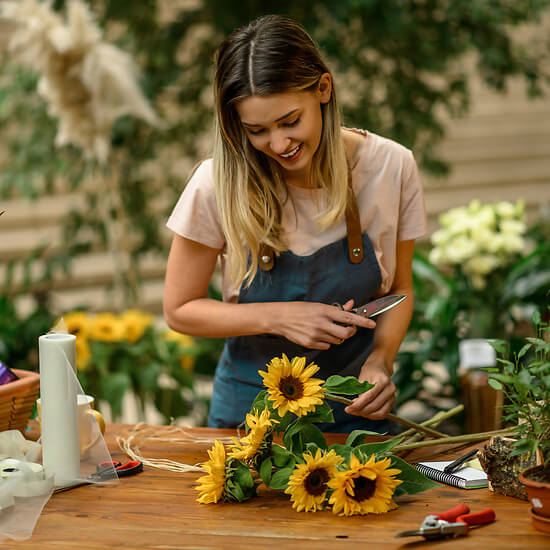 The florist's sunflowers