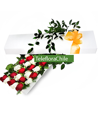 12 Bicolor roses in a box (Only Santiago)