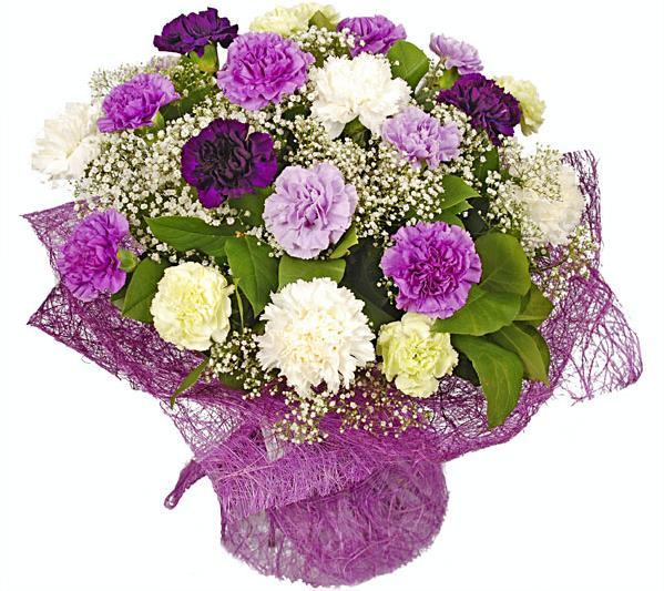 Mixed Carnations 2