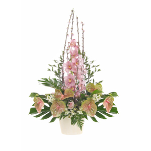 Arrangement of Cymbidium and anthurium