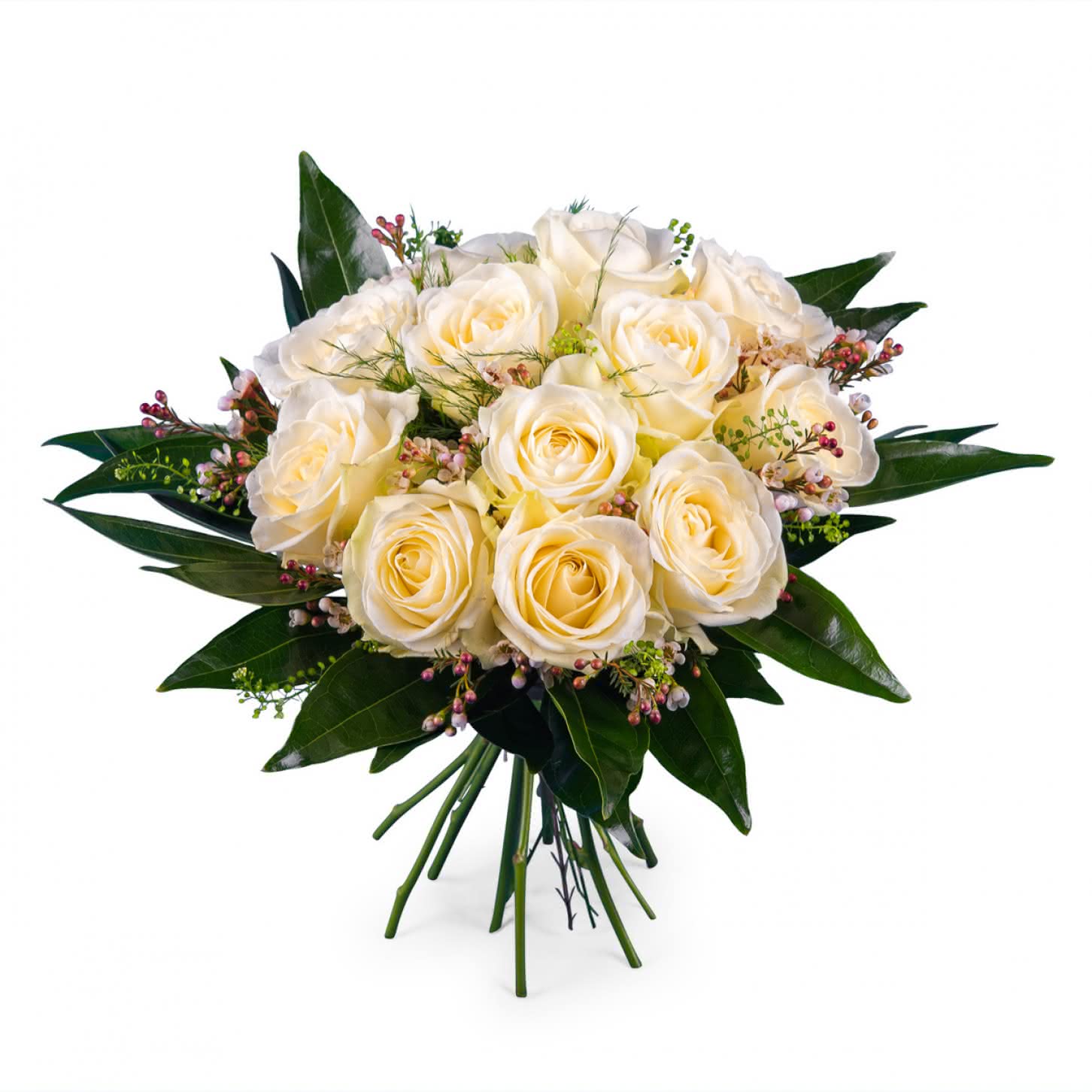 12 WHITE ROSES IN BOUQUET