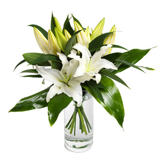 Wonderfully white lilies