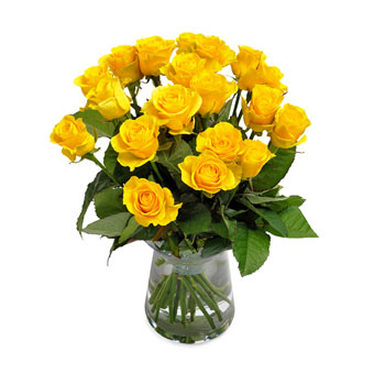 Yellow Rose Surprise