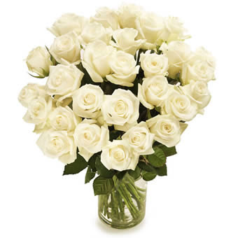 White Roses