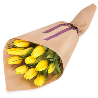 Gift wrapped tulips
