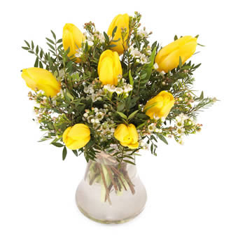 Yellow tulips