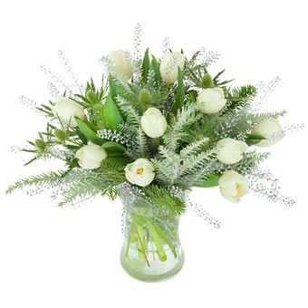 Winter White Tulips