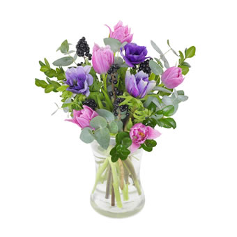 The florist�s lilac