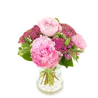 Delightful peonies