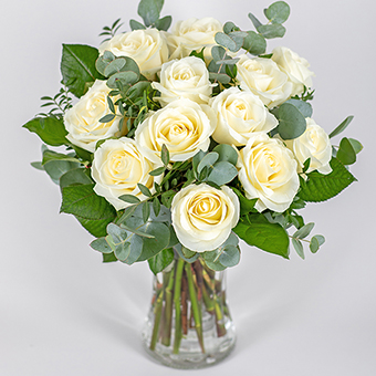 12 White Roses