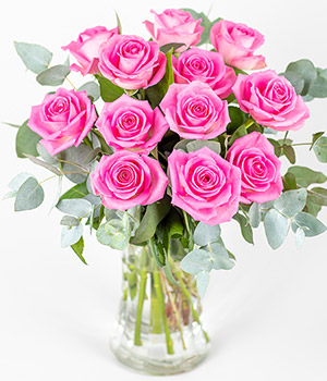 12 Pink Roses