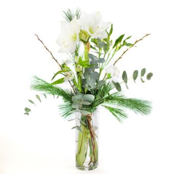 The beauty of winter