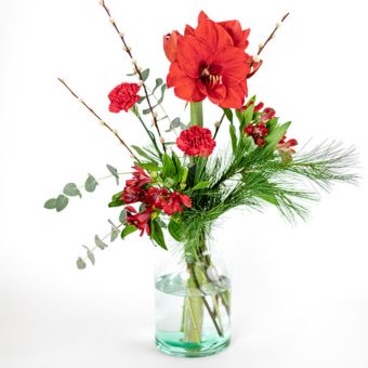 Christmas Red Elegance