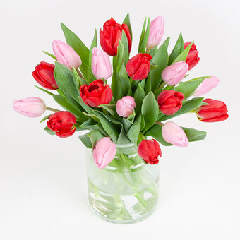 Pink & red tulips