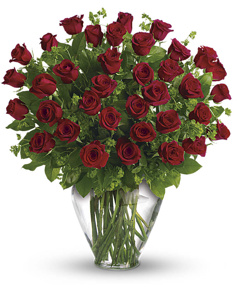 Three Dozen Red Roses