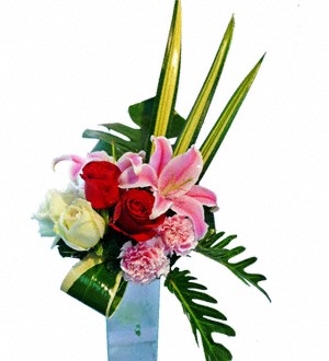 Divine Gift
