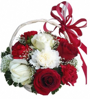 (Vietnam) Red & White Delight