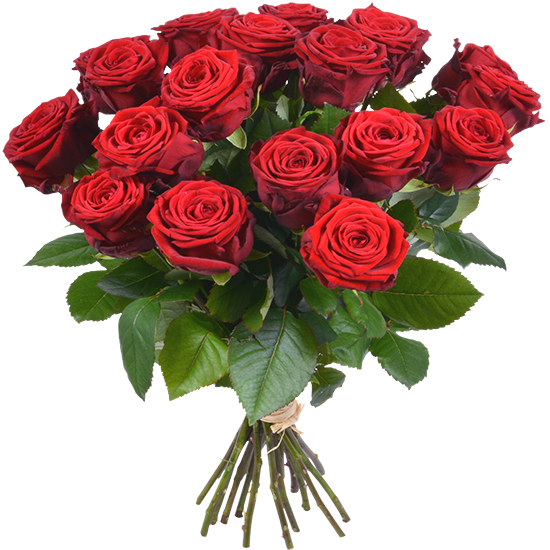 Bouquet of 12 red roses