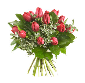 Bouquet of Red Tulips