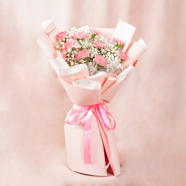 Pink Carnation For Mother's Day
